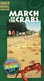 Wild Life Adventures: March of Crabs [VHS]