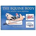 The Equine Body (Paperback)