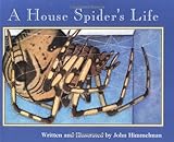 ISBN 9780516265360 product image for A House Spider's Life (Nature Upclose) | upcitemdb.com