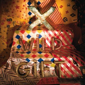 X - Adult Books (Dangerhouse Rough Mix) Lyrics - Zortam Music