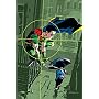Robin: To Kill a Bird (Robin)