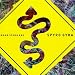 Road scholars by
