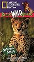National Geographic's Really Wild Animals: Swinging Safari [VHS]