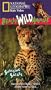 National Geographic's Really Wild Animals: Swinging Safari [VHS]