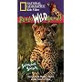 National Geographic's Really Wild Animals: Swinging Safari [VHS]