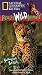 National Geographic's Really Wild Animals: Swinging Safari