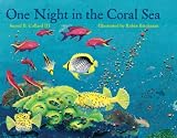 One Night in the Coral Sea
