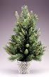 2.5' Potted Cedar Pine Artificial Christmas Tree - Unlit