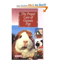 The Proper Care of Guinea Pigs