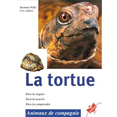 La tortue