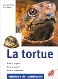 La tortue