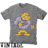 NCAA Western Illinois Leathernecks Ash Distressed Logo Vintage Tri-Blend T-shirt