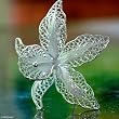 Brooch, 'Orchid Filigree' 1.6" W 1.3" L