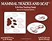 Mammal Tracks and Scat: Life-Size Tracking Guide