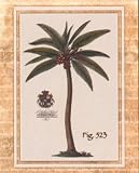 Palm Tree Tropical Island Ocean Art Poster Print - 16 X 20