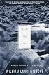 Inside the Sky: A Meditation on Flight