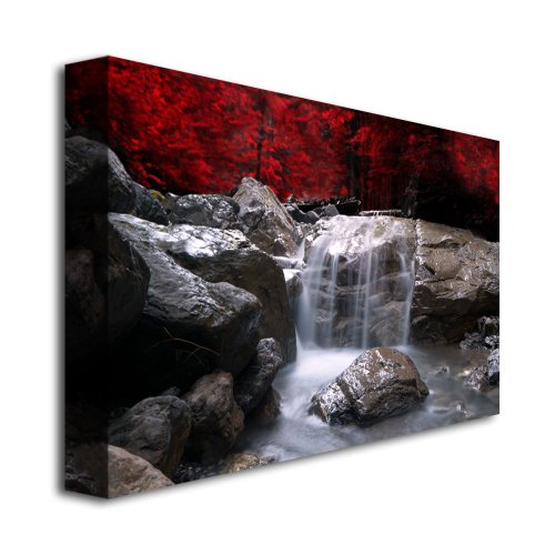 Red Vison by Philippe Sainte-Laudy, 35x47-Inch Canvas Wall Art