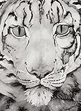 The snow leopard
