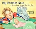 Big Brother Now (A Story About Me and Our New Baby) (Hardcover)