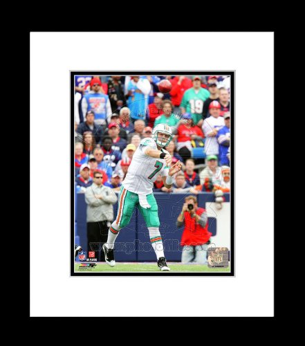 Miami Dolphins Chad Henne Framed 8x10 Picture