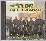 Banda Flor Del Campo ´ Porque Eres La Reyna ´ ( Audio CD ) - B001CYX046