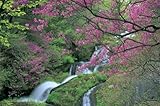 1500ピース ツツジ咲く竜頭滝(栃木県日光市) 15-115