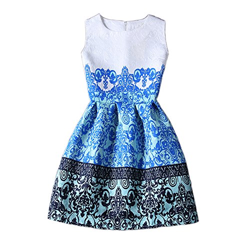 ZAY Womens White Contrast Blue Porcelain Print Flare Sleeveless Vintage Floral Dress