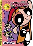  : Blossom (Powerpuff Girls)