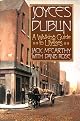 Joyce's Dublin: A Walking Guide to Ulysses