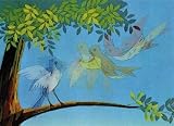 3D Lenticular POSTCARD-2 BIRDS/ANIMATED