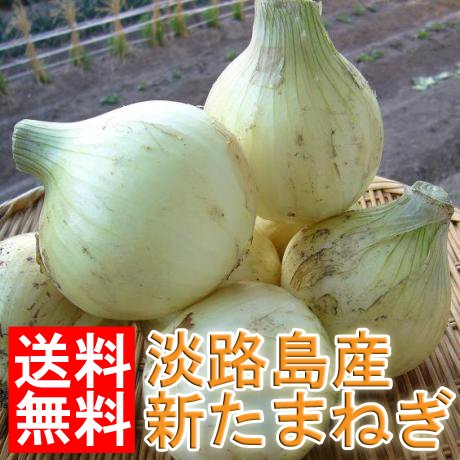 生産者限定【送料無料】有名飲食店・ホテル指名買い淡路産新たまねぎ9kg【淡路新玉ねぎ/淡路島産新たまねぎ/新玉葱/新玉】