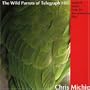 The Wild Parrots of Telegraph Hill