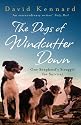 The Dogs of Windcutter Down: One Shepherd's Struggle for Survival