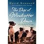 The Dogs of Windcutter Down: One Shepherd's Struggle for Survival