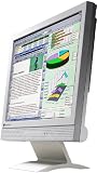 Eizo L365 15" LCD Monitor