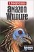 Books : Insight Guide Amazon Wildlife (Insight Guides Amazon Wildlife)
