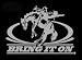 Bring It On Upstream Images Silver Vinyl Wildlife Car Truck Window Decal Sticker