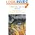 The Reckless Mind: Intellectuals in Politics