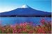 1000ピース 河口湖と富士山 RS-13-182