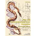 Farb- und Zeichnungsstandard der Kornnatter (Pantherophis guttatus): Pflege, Fortpflanzung und Lebensweise