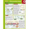 Lerntafel: Pflanzenphysiologie im �berblick (Lerntafeln Biologie)