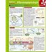 Lerntafel: Pflanzenphysiologie im �berblick (Lerntafeln Biologie)