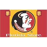 BSI Florida St. Seminoles Car Flag Set