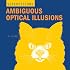 SuperVisions: Ambiguous Optical Illusions (Super Visions)