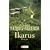 Ikarus
