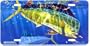 Green Mahi - Dolphin Art Print - License Plate Tag By Don Ray From Airstrike