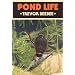 Pond Life (British Natural History)