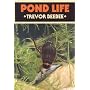 Pond Life (British Natural History)
