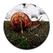 Snail Round Mousepad Mouse Pad Great Gift Idea