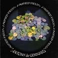 Unified Fields